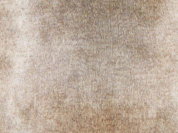 Beliani 2 διακοσμητικά μαξιλάρια 45 x 45 cm καφέ HORDEUM 11356110 4251682278324