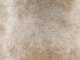 Beliani 2 διακοσμητικά μαξιλάρια 45 x 45 cm καφέ HORDEUM 11356110 4251682278324