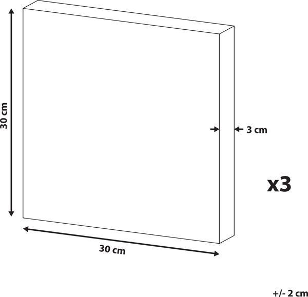 Beliani Σετ 3 ζωγραφικής σε καμβά 30 x 30 cm πολύχρωμο BINGUI 8034603 4251682251235
