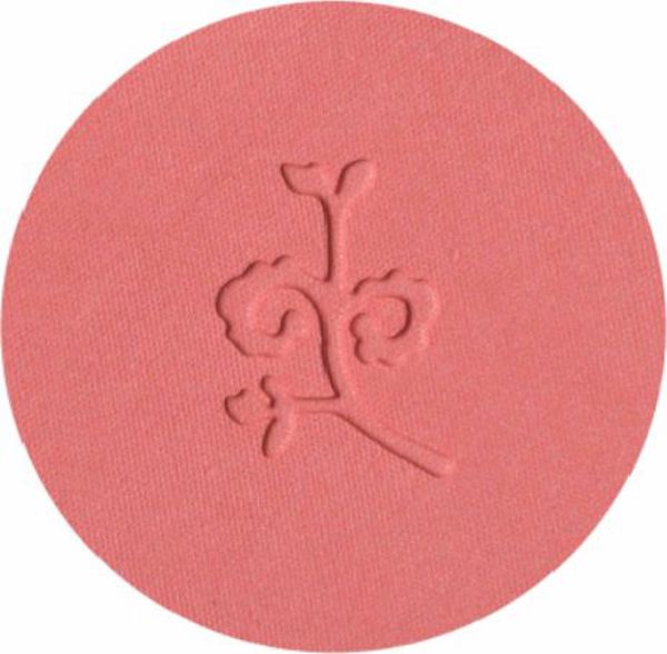 Ρουζ σε σκόνη Benecos BENECOS_Natural κοραλλί κόκκινο Sassy Salmon 5,5g