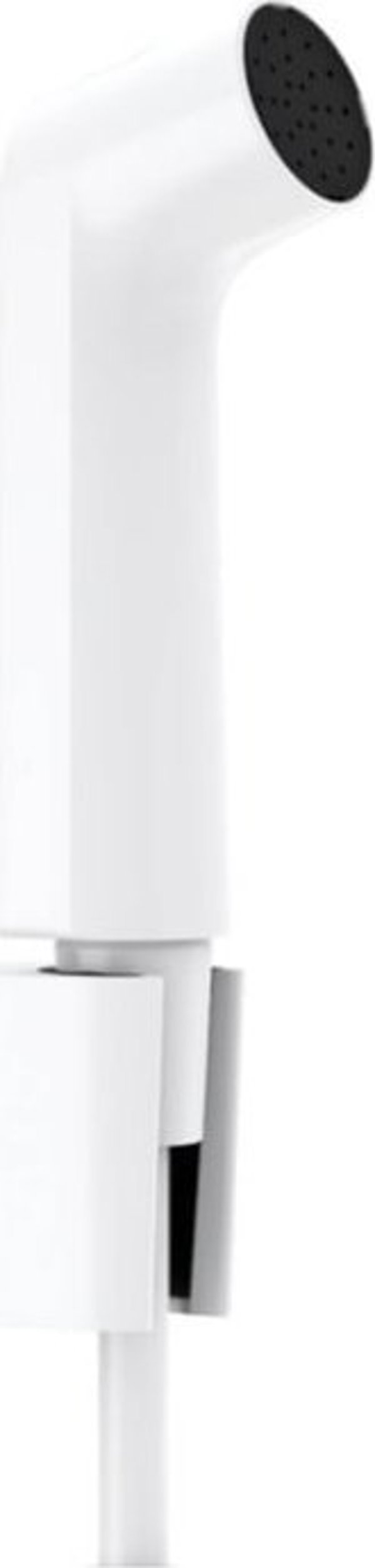 Bidet shower Hansgrohe 29238700, matt white