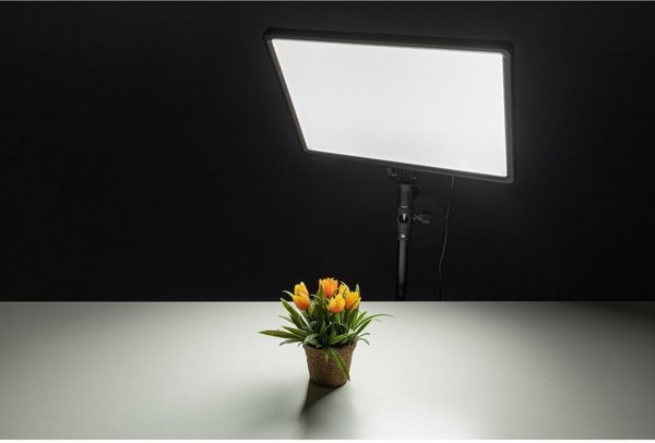 BIG studio light Helios LED-50VC (428023)