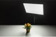 BIG studio light Helios LED-50VC (428023)
