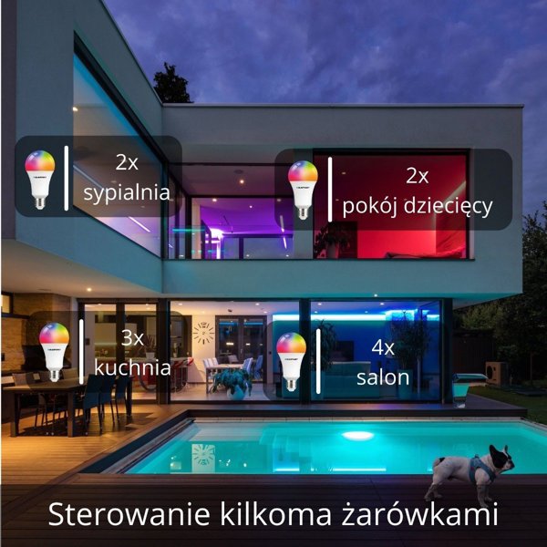 Blaupunkt Blaupunkt Λάμπα LED E27 9W Smart WIFI 3000K-6500K Πολύχρωμη