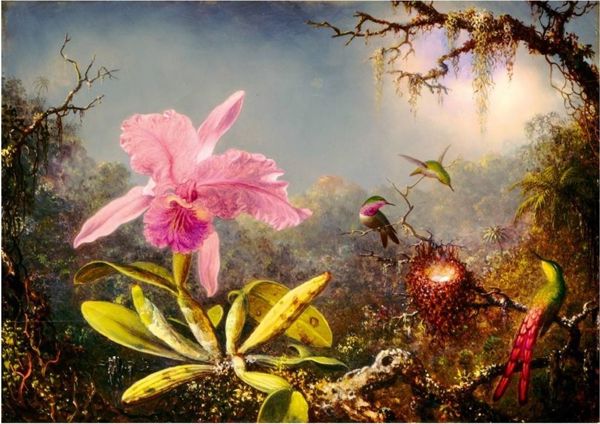 Bluebird Puzzle Παζλ 1000 Ορχιδέα Cattleya και τρεις κολιμπρί