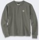 Φούτερ Carhartt French Terry Dusty Olive