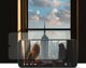 Blue Star Blue Star σκληρυμένο γυαλί - για Samsung Galaxy A23 5G 11558632 5903396152979