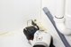 Bosch Πριονόλαμα HCS για κοπή σε βάθος AIZ 32 EPC Wood