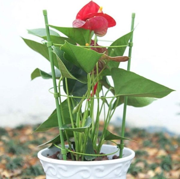 Υποστήριξη δακτυλίου για φυτά 75cm TYRP75 BRADAS
