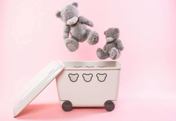 Branq Κουτί αποθήκευσης παιχνιδιών 55L Teddy λευκό