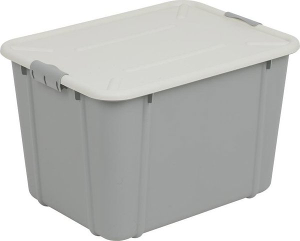 Branq BranQ - Κουτί αποθήκευσης + καπάκι - 30 L - VELUR - ανοιχτό γκρι - 7530