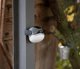 Brennenstuhl MOBILE LED RECHARG OUTDOOR L.OLI 310AB