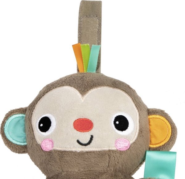 Bright Starts BRIGHT STARTS musical activity toy Pull, Play & Boogie, 13089