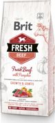 Brit Fresh Μοσχάρι & Κολοκύθα Κουτάβι Μεγάλη Ανάπτυξη & Αρθρώσεις 12kg