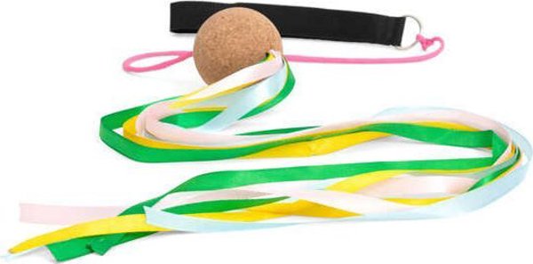Παιχνίδι δραστηριότητας Poi Sling της BS Toys