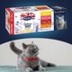 Butcher’s BUTCHER'S Delicious Dinners Jumbo Pack - υγρή τροφή για γάτες - 40x100 g
