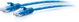 Καλώδιο δικτύου Ethernet C2G 1ft (0.3m) Cat6a χωρίς θωράκιση (UTP) Slim - Μπλε - Καλώδιο Patch - RJ-45 (M) σε RJ-45 (M) - 30 cm - 4.8 mm - UTP - CAT 6a - χωρίς γάντζο, διαμορφωμένο - Μπλε