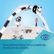 Canpol CANPOL BABIES sensory educational play mat with mirror BabiesBoo, 68/092