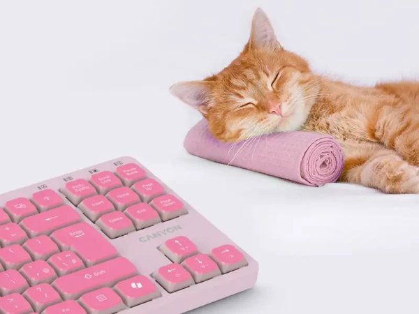 CANYON Keyboard OnType 10 Low Profile EN Wired Pink