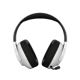CANYON headset EGO GH-16 3in1 2.4Ghz+BT White CND-SGHS16W (5291485017248)