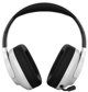 CANYON headset EGO GH-15 2in1 BT White CND-SGHS15W (5291485017262)