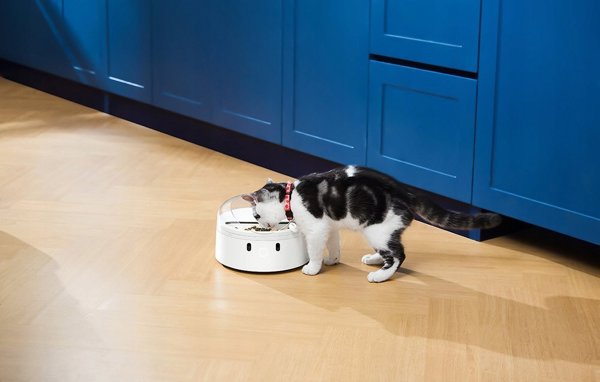 Catlink Έξυπνος διανομέας τροφής CatLink F03 Standard