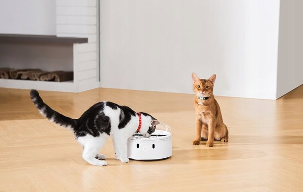 Catlink Έξυπνος διανομέας τροφής CatLink F03 Standard