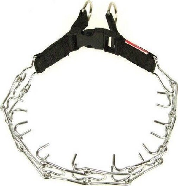 CHAMPION CHAMPION Περιλαίμιο για Σκύλο 1T 43cm/2,5mm/1,9