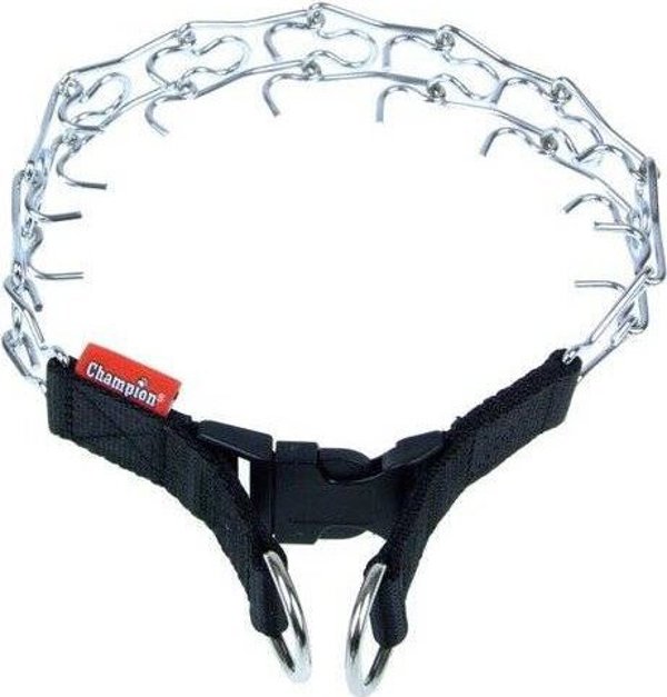 CHAMPION CHAMPION Περιλαίμιο για Σκύλο 1T 43cm/2,5mm/1,9