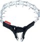 CHAMPION CHAMPION Περιλαίμιο για Σκύλο 1T 43cm/2,5mm/1,9