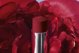 Christian Dior, Dior Rouge, Jojoba, Κραγιόν Κρέμα, 879, Passionate, 3.2 g Για Γυναίκες