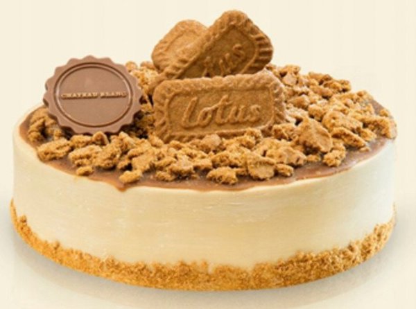 Ciastka Lotus Biscoff 50 sztuk