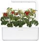 Click And Grow Click&Grow Έξυπνη γλάστρα Smart Garden 3 White