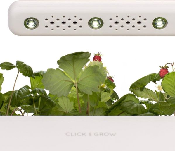 Click And Grow Click&Grow Έξυπνη γλάστρα Smart Garden 3 White