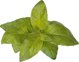 Click And Grow Click & Grow Smart Garden refill Lime Basil 3pcs