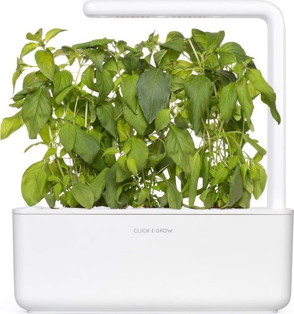 Click And Grow Click & Grow Smart Garden refill Lime Basil 3pcs