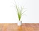 Κάψουλες σπόρων Click And Grow Smart Soil Chives 3 συσκευασίες 6258675 4742793008349
