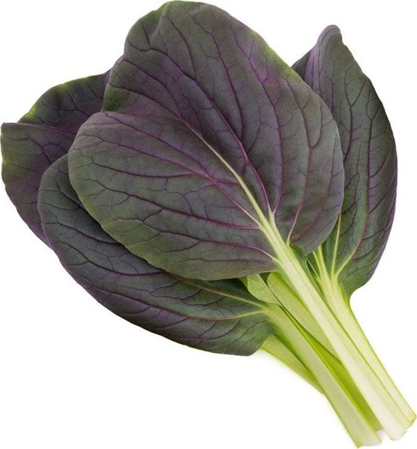 Click And Grow Click & Grow Smart Garden αναπλήρωση Punane Bok Choy 3 τεμάχια