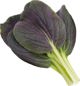 Click And Grow Click & Grow Smart Garden αναπλήρωση Punane Bok Choy 3 τεμάχια