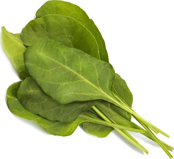 Click And Grow Click & Grow Smart Garden refill Green Chard 3pcs