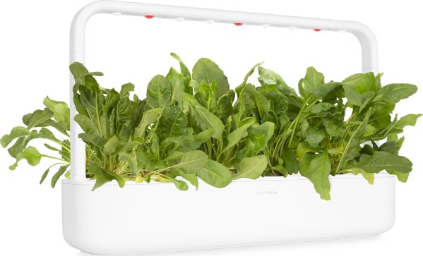 Click And Grow Click & Grow Smart Garden refill Green Chard 3pcs