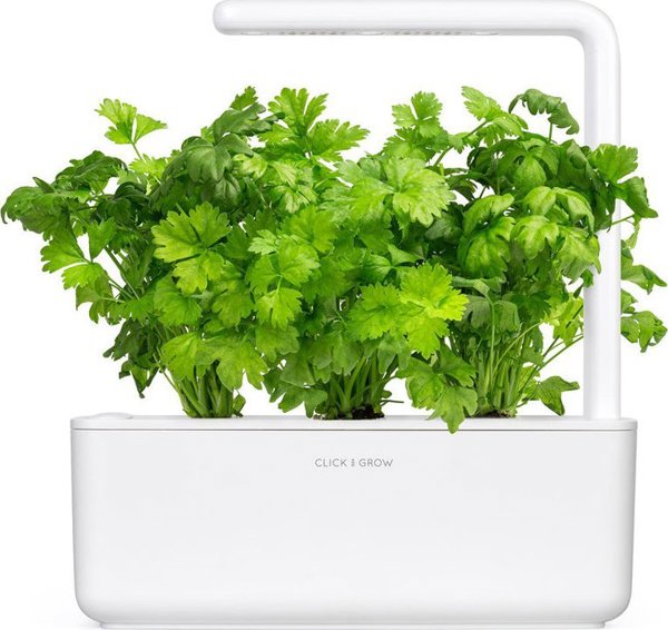 Click And Grow Click & Grow Smart Garden Ανταλλακτικό Φύλλο Σέλινου 3 τεμ