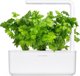 Click And Grow Click & Grow Smart Garden Ανταλλακτικό Φύλλο Σέλινου 3 τεμ