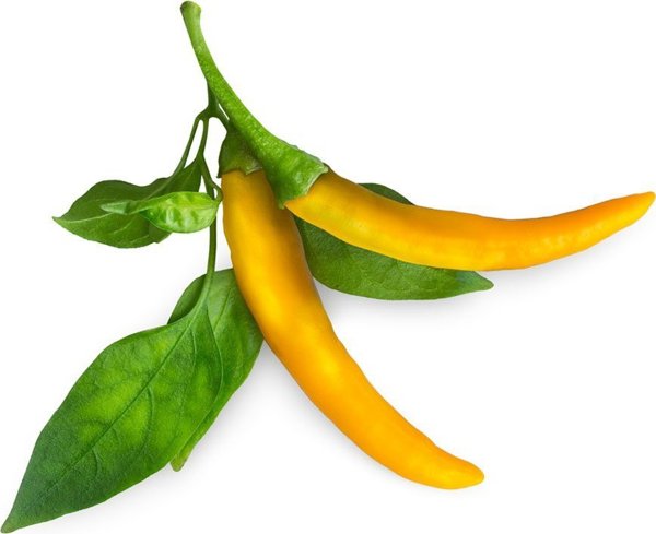 Click And Grow Click & Grow Smart Garden refill Yellow Chili 3pcs