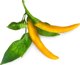 Click And Grow Click & Grow Smart Garden refill Yellow Chili 3pcs
