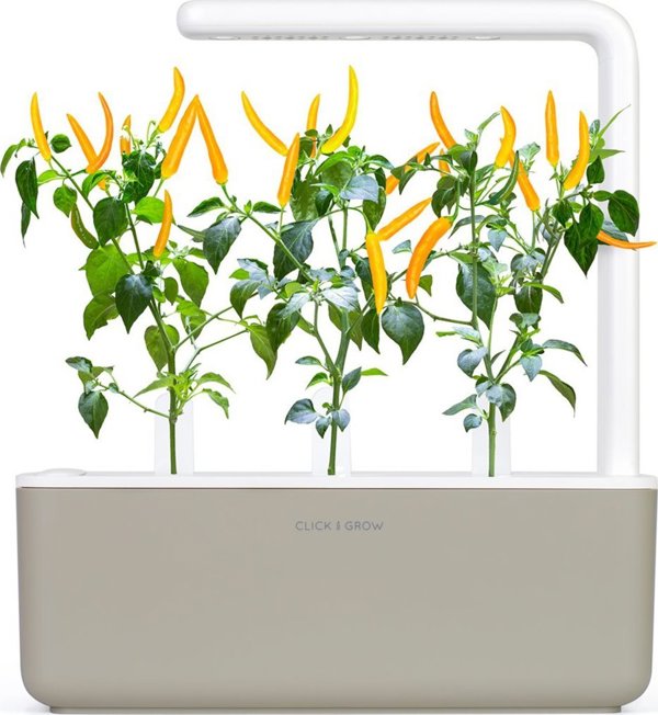 Click And Grow Click & Grow Smart Garden refill Yellow Chili 3pcs