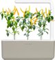 Click And Grow Click & Grow Smart Garden refill Yellow Chili 3pcs
