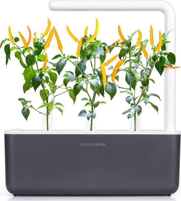 Click And Grow Click & Grow Smart Garden refill Yellow Chili 3pcs