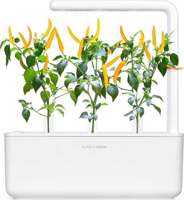 Click And Grow Click & Grow Smart Garden refill Yellow Chili 3pcs