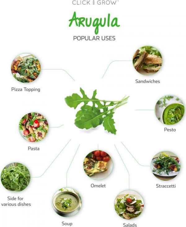Click And Grow Ανταλλακτικό ρόκα 3-πακ